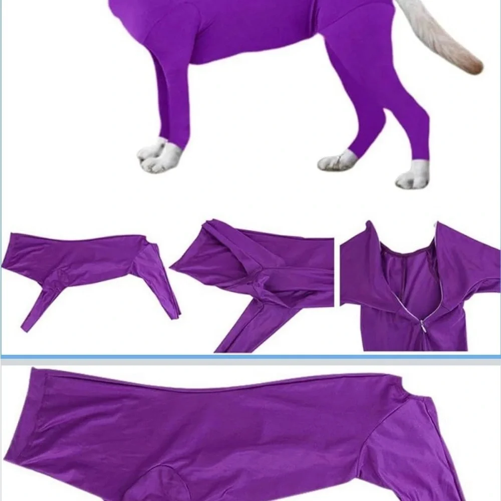 Red Dog Bodysuit